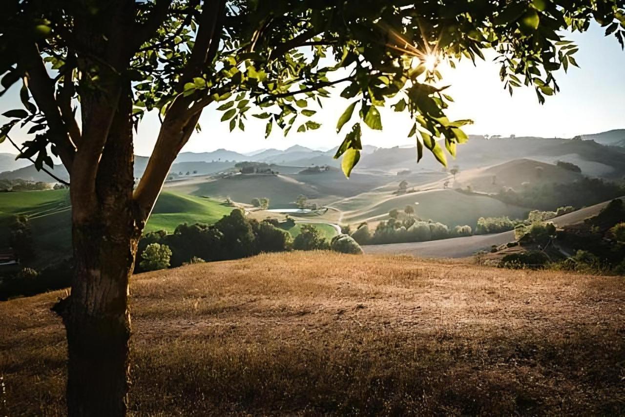 Ca' Gulino - Urbino - Villa Con Minipiscina In Borgo Antico Exterior foto
