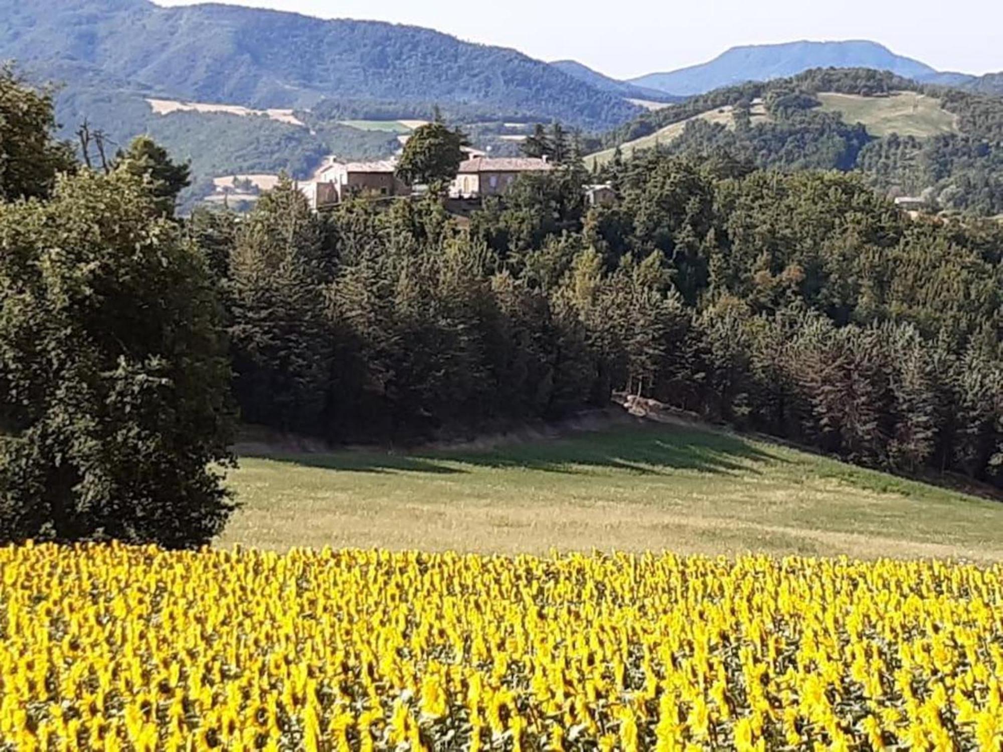 Ca' Gulino - Urbino - Villa Con Minipiscina In Borgo Antico Exterior foto